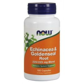 Echinacea & Goldenseal Root NOW Foods 100 kapsułek