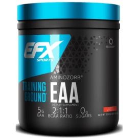 Training Ground EAA EFX Sports 213 grams Georgia Peach
